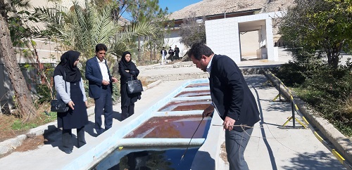 ازدید میدانی کارشناسان شبکه بهداشت و درمان از هنرستانی در کازرون 