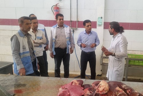 بازدید مشترک کارشناسان شبکه بهداشت و درمان و اداره دامپزشکی از کشتارگاه دام کازرون