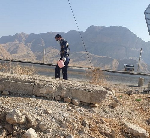 اجرای طرح جوندهکشی و کنترل بیماری سالک در روستای کمارج شهرستان کازرون