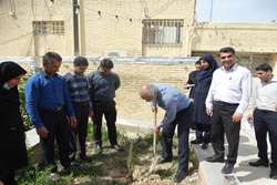 کاشت نهال در شبکه بهداشت و درمان کازرون به مناسبت روز درختکاری