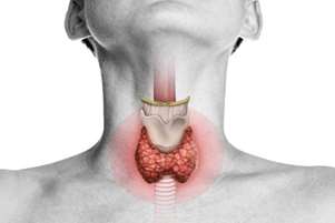 نکاتی در زمینه تغذیه و سلامت غده تیروئید