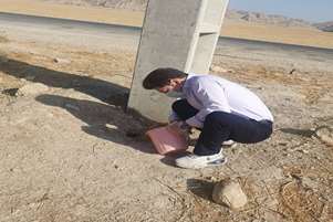 اجرای طرح جونده‌کشی و کنترل بیماری سالک در روستای کمارج شهرستان کازرون