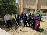 کاشت یک اصله نهال در شبکه بهداشت و درمان کازرون به مناسبت هفته ملی جمعیت