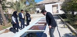 با هدف پیشگیری از پشه آئدس و تب دنگی انجام شد؛ بازدید میدانی کارشناسان شبکه بهداشت و درمان از هنرستانی در کازرون 